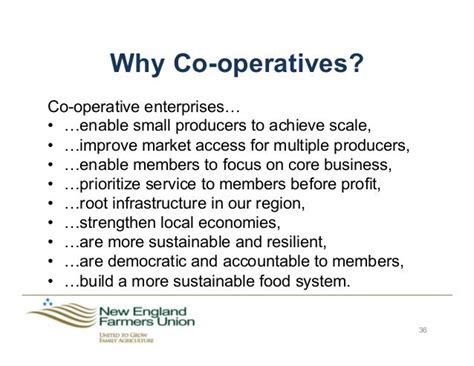 Are co-ops more efficient?