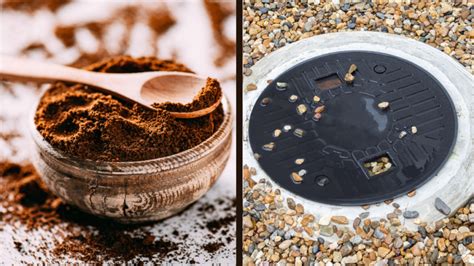 Are coffee grounds bad for the earth?