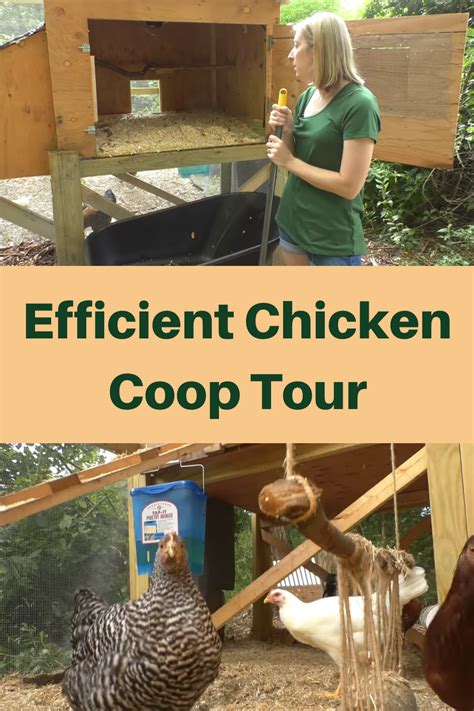 Are coops more efficient?