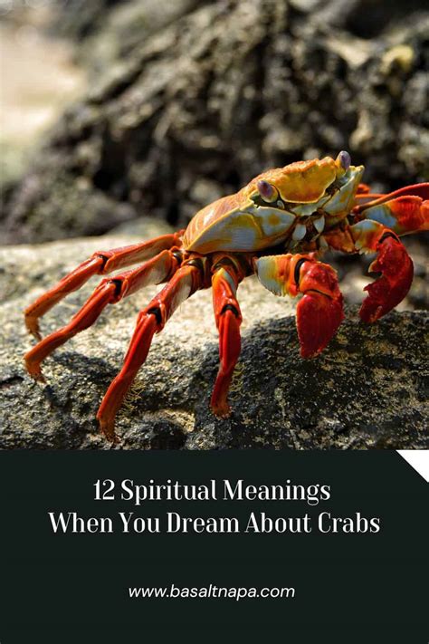 Are crabs spiritual?
