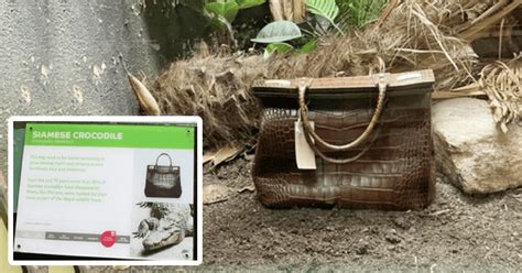 Are crocodile handbags illegal?