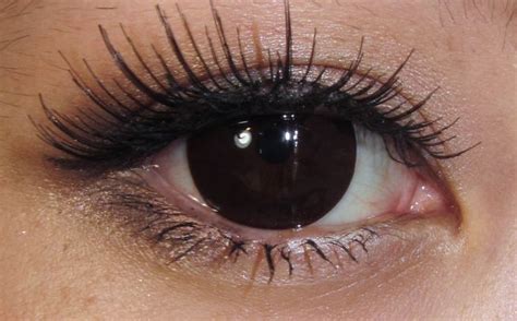 Are dark brown eyes rare?