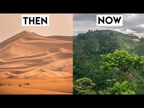 Are deserts getting greener?