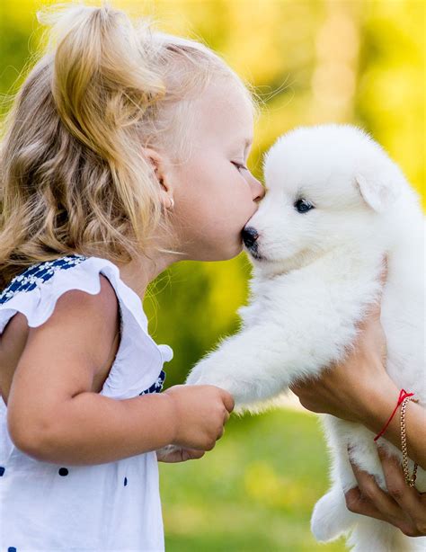 Are dog licks like kisses?