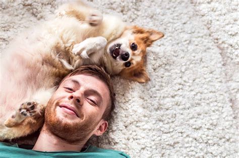 Are dog owners happier than parents?