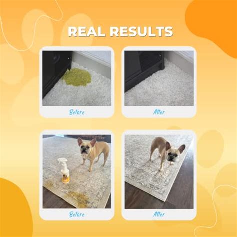 Are dog pee stains permanent?