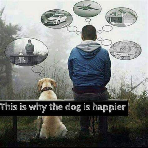 Are dogs happier with another dog?