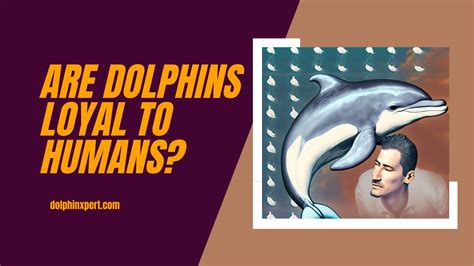 Are dolphins loyal?