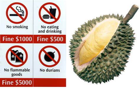 Are durians illegal?