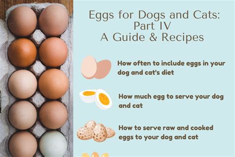 Are egg whites good for pets?