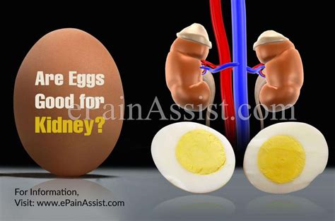 Are eggs bad for kidneys?
