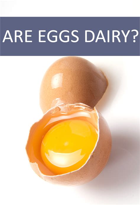 Are eggs dairy?