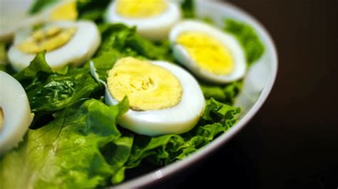Are eggs good for MS?