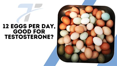 Are eggs good for testosterone?