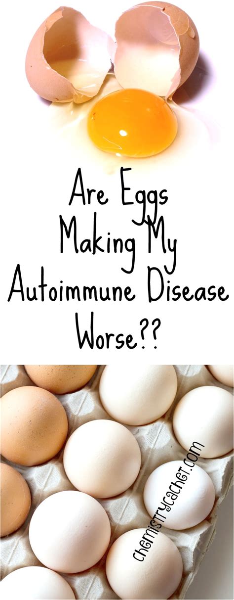 Are eggs inflammatory?