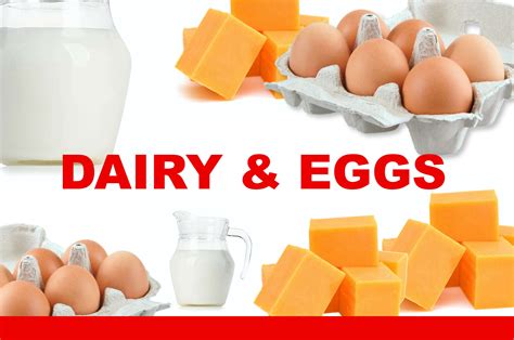 Are eggs meat or dairy?