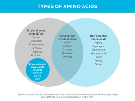 Are essential amino acids in plants vs meat?