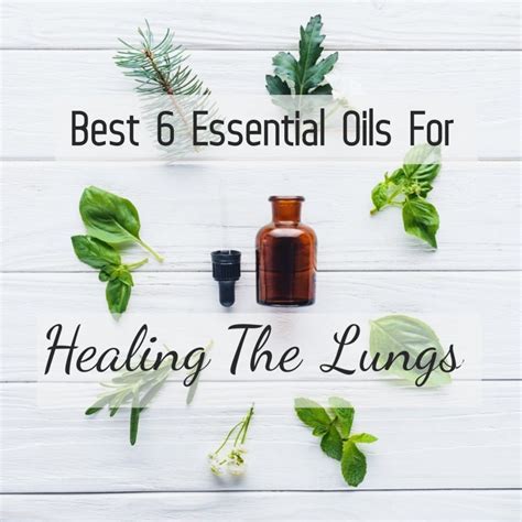 Are essential oils OK for lungs?