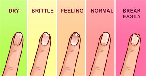 Are fingernails necessary?