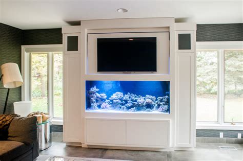 Are fish bothered by TV?