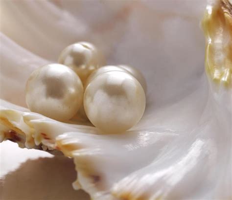 Are freshwater pearls shiny?