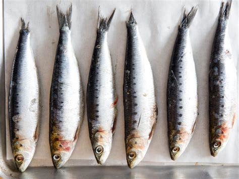 Are frozen sardines healthy?