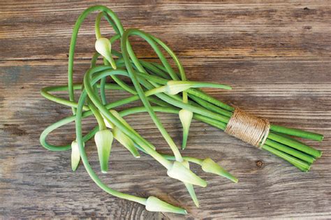 Are garlic shoots edible?