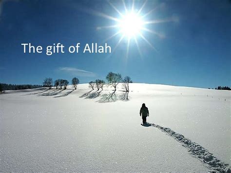 Are girls the gift of Allah?