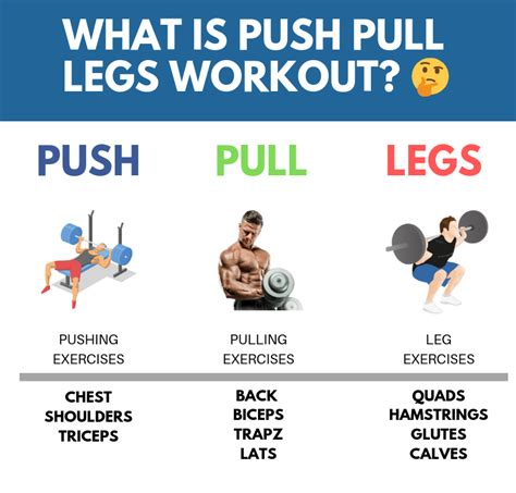 Are glutes push or pull?