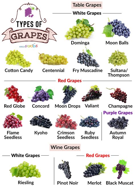 Are grapes the only fruit for wine?