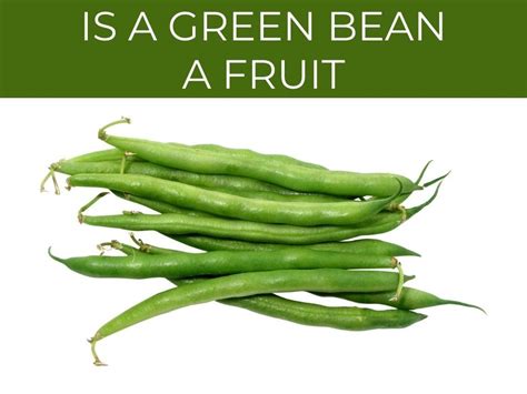Are green beans a fruit or legume?