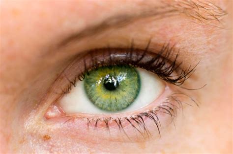 Are green eyes rare?