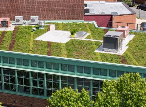 Are green roofs actually sustainable?