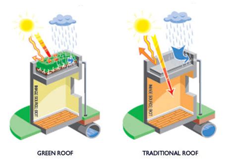 Are green roofs better?