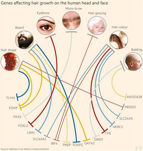 Are hair waves genetic?