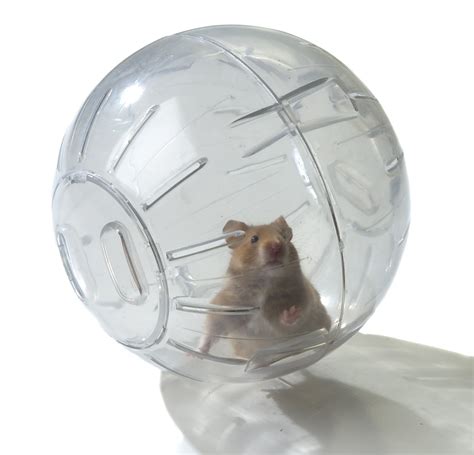 Are hamster balls safe?