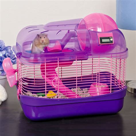 Are hamsters happy in small cages?