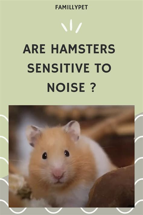 Are hamsters sensitive to sound?