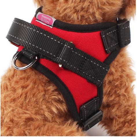 Are harnesses good for walks?
