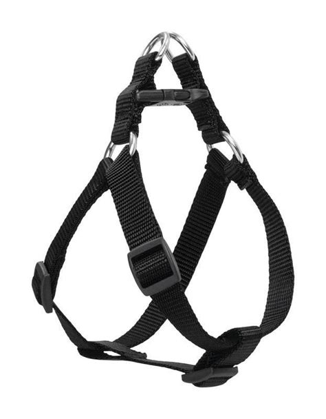Are harnesses more secure than collars?