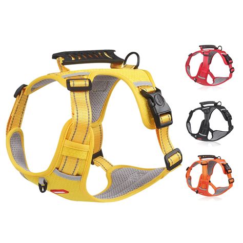 Are harnesses safer than collars?