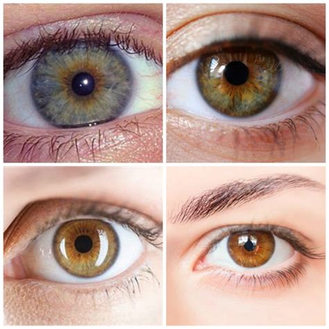 Are hazel eyes actually hazel?