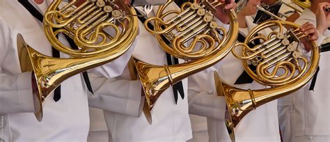 Are horns low brass?