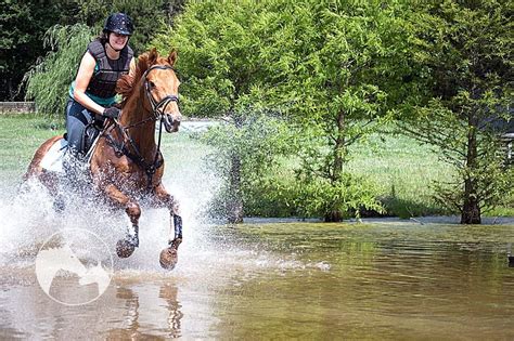 Are horses afraid of water?