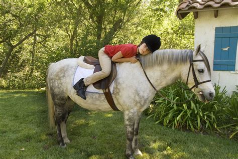 Are horses kid friendly?