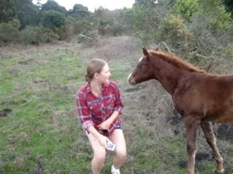 Are horses very friendly?