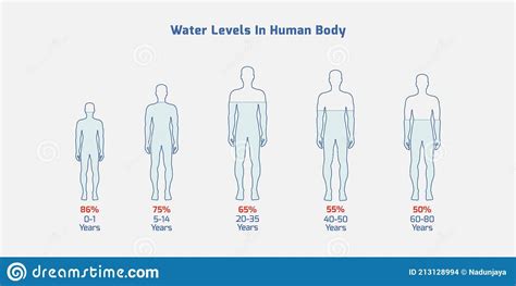Are humans 99% water?