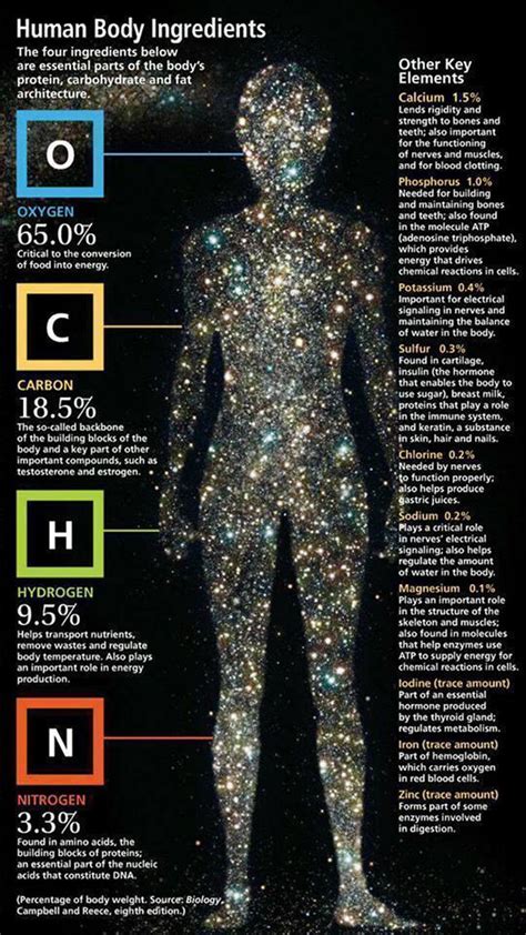 Are humans all atoms?