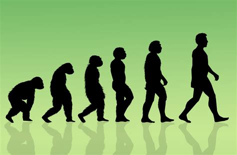 Are humans already evolving?