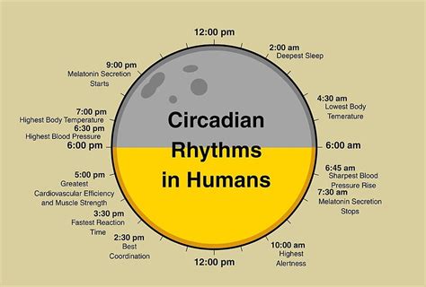 Are humans born with rhythm?